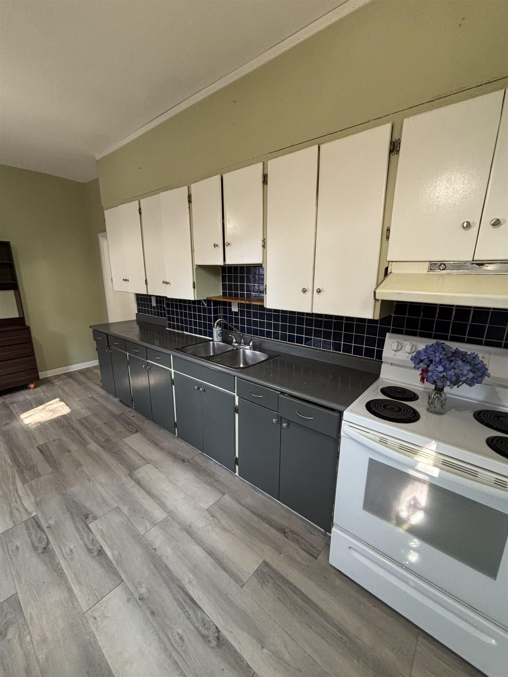 9 Ruttan St., Thunder Bay, ON - Indoor Photo Showing Kitchen With Double Sink