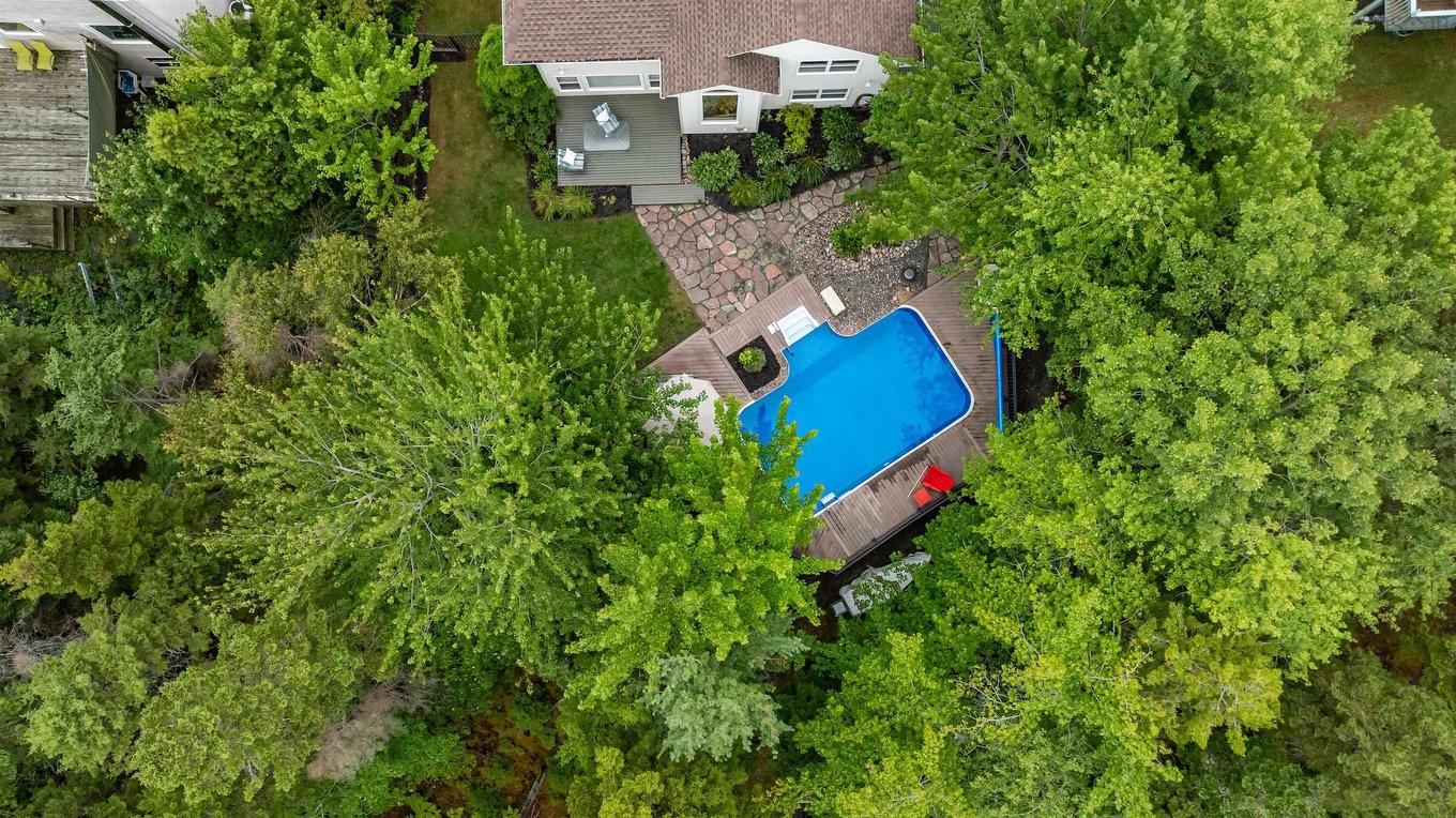 17 Oakley Avenue, Halifax, NS - Outdoor With In Ground Pool