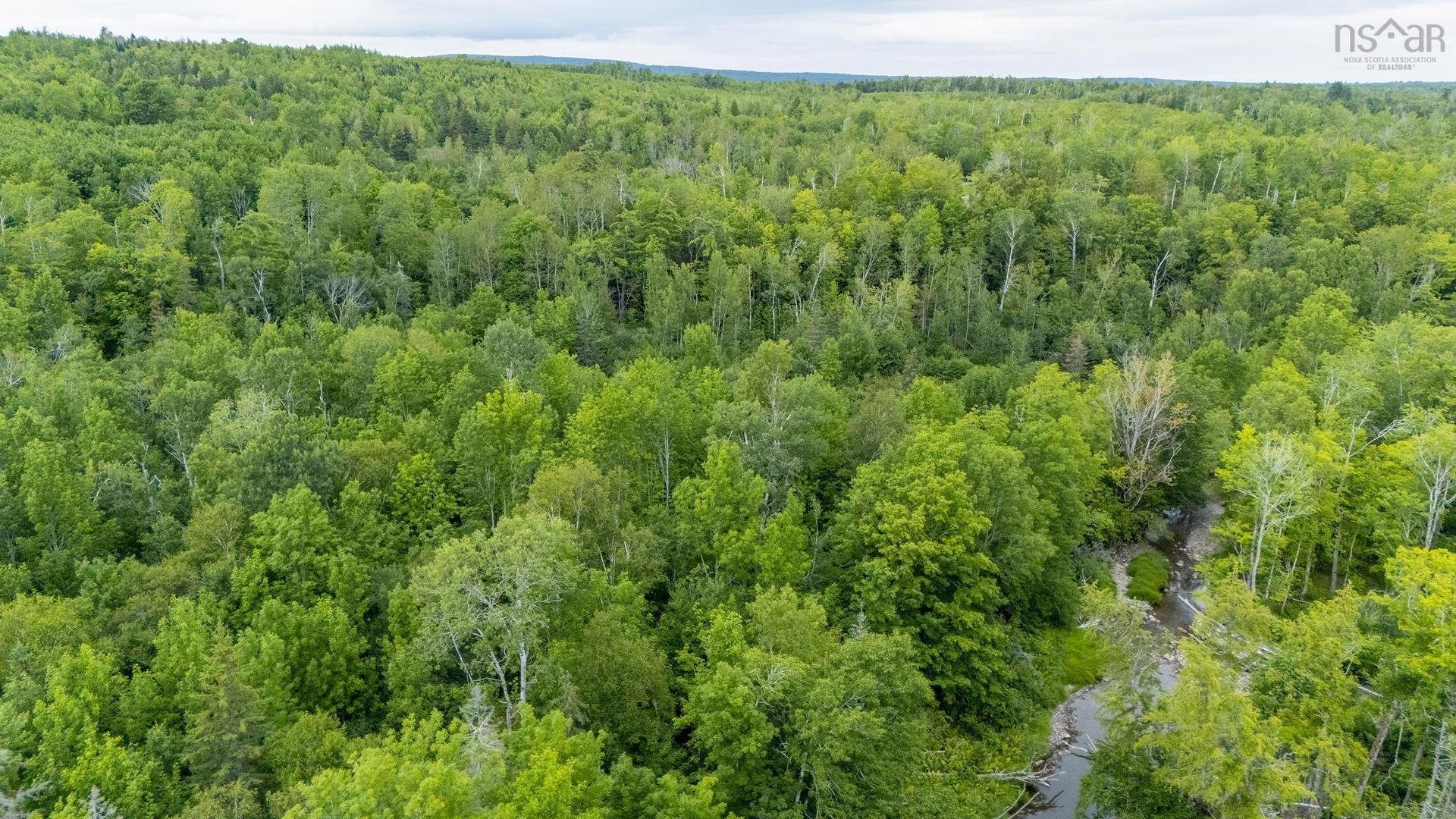 Graveyard Road, Stillman, Six Mile Brook, NS