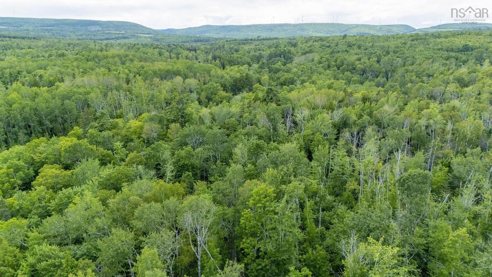 Graveyard Road, Stillman, Six Mile Brook, NS