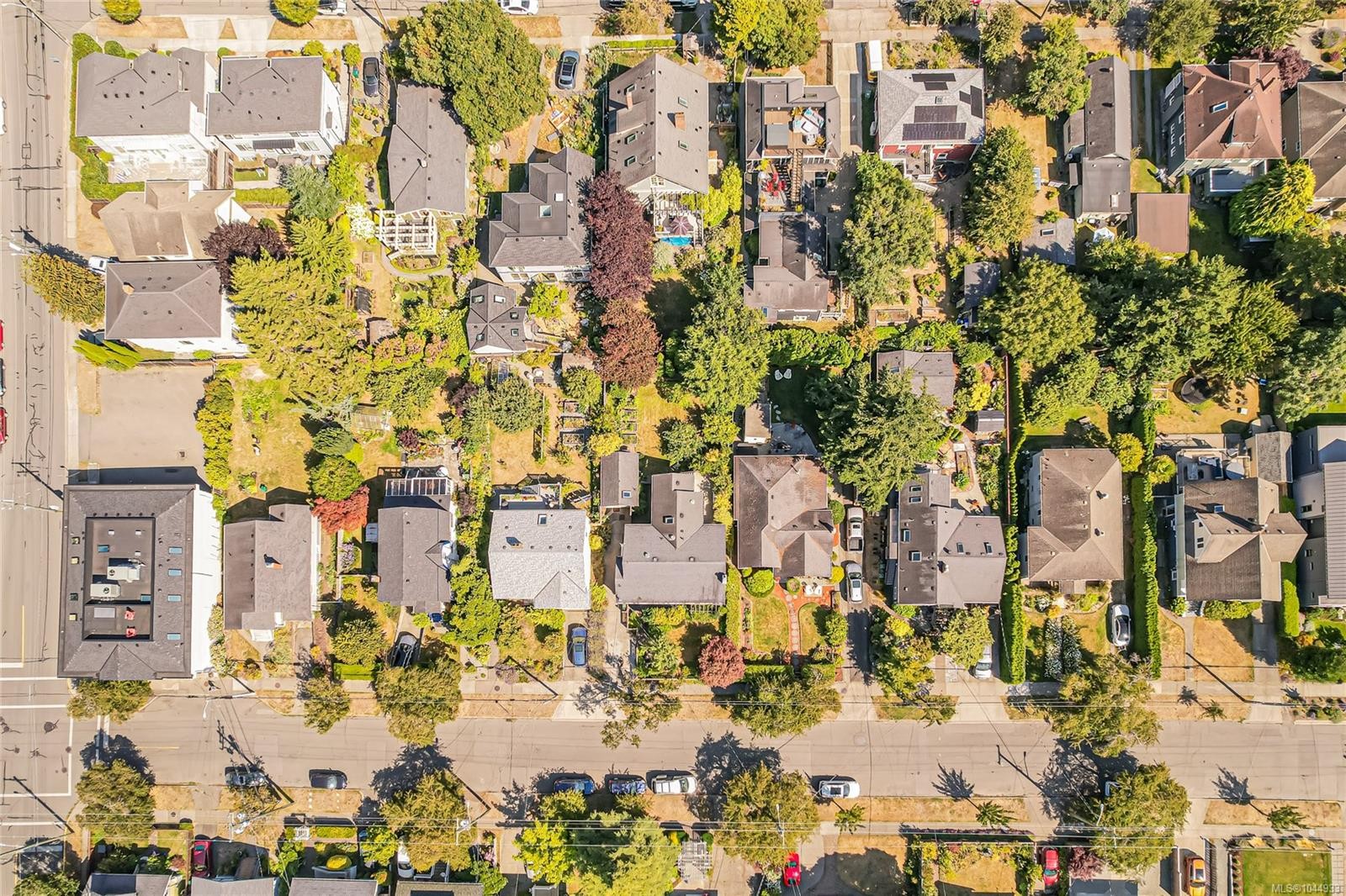 129 Moss St, Victoria, BC