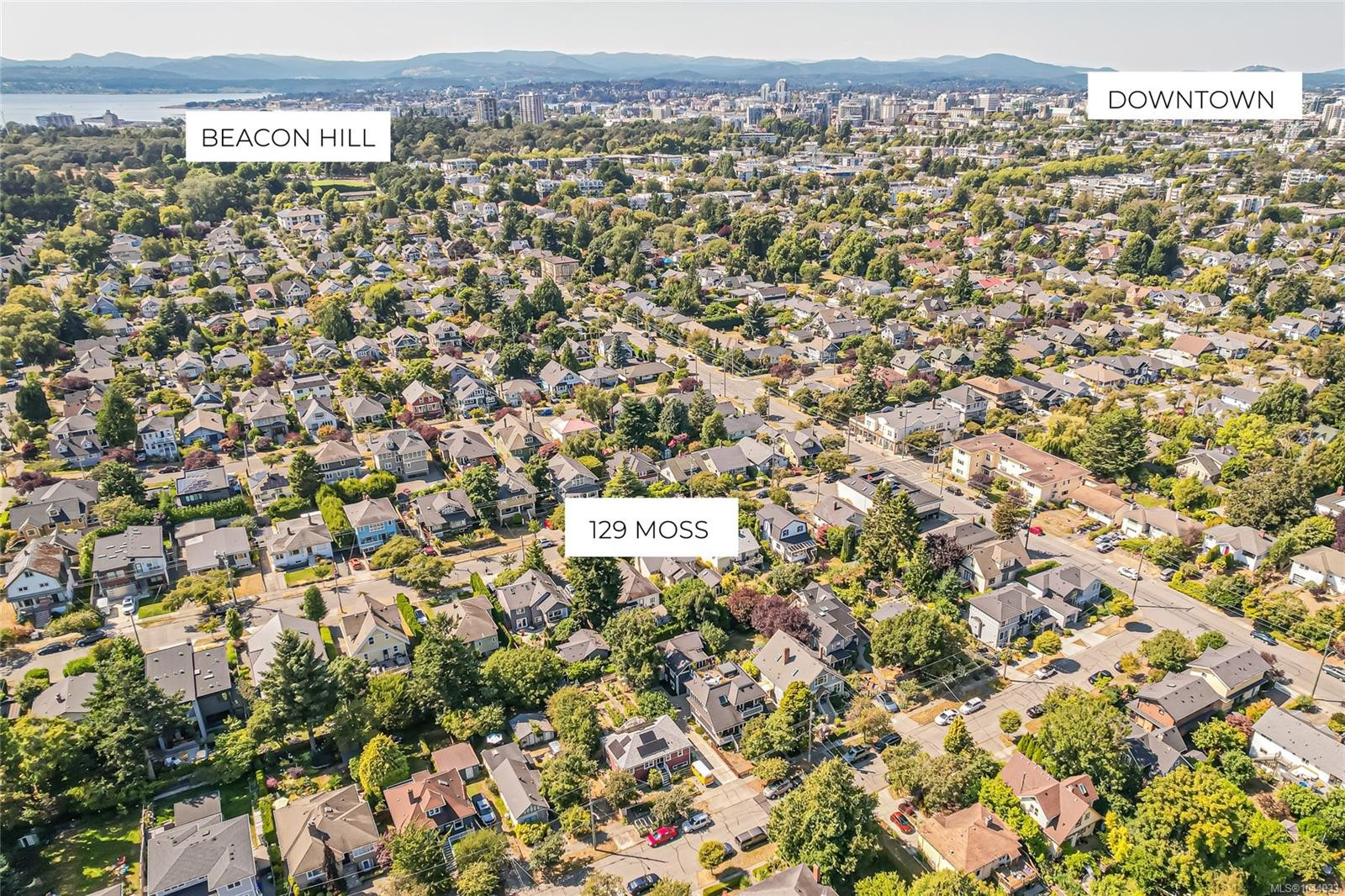 129 Moss St, Victoria, BC