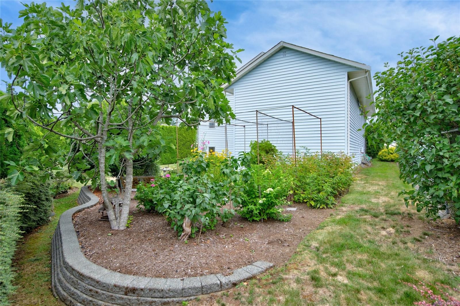 356 Rees Rd, Courtenay, BC