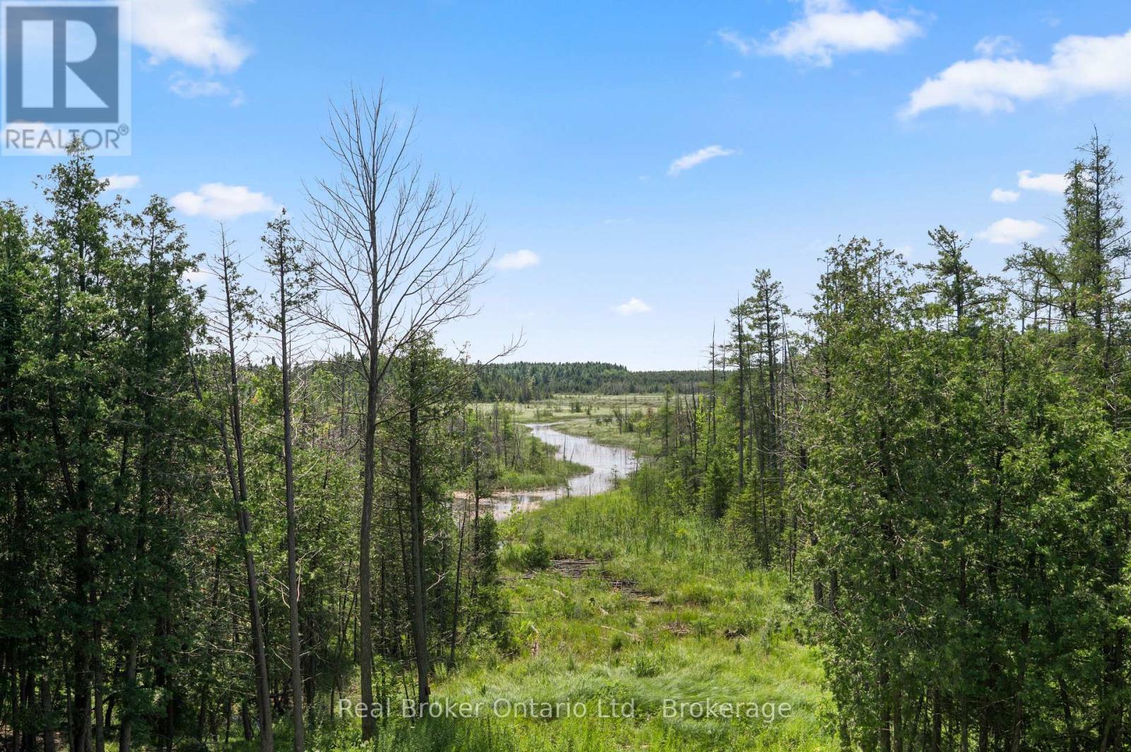 156 Pine View Drive, West Grey, ON - Outdoor With View