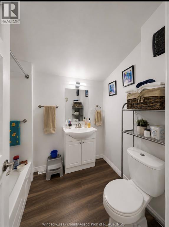 253 Curry Avenue, Windsor, ON - Indoor Photo Showing Bathroom