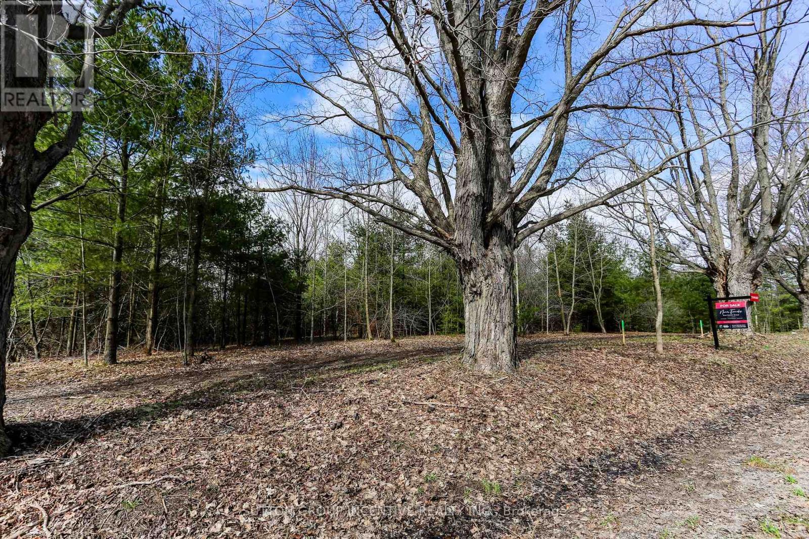 2790 Old Second Road S, Springwater, ON