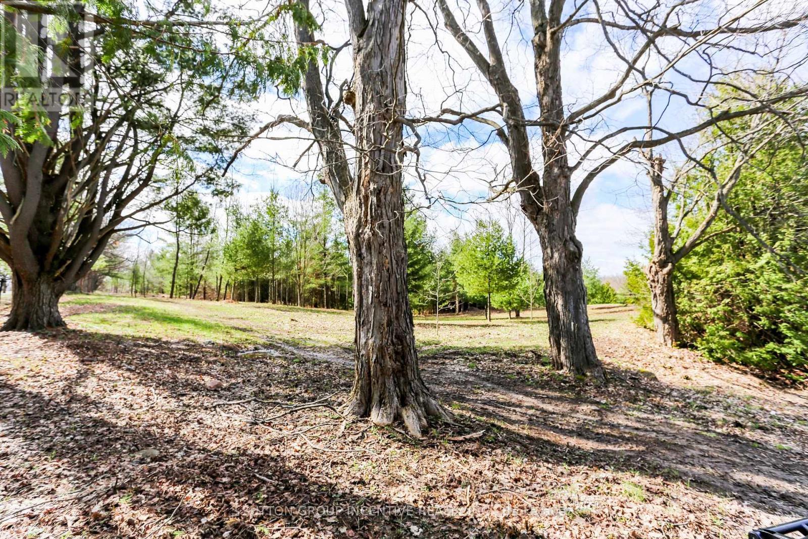 2790 Old Second Road S, Springwater, ON