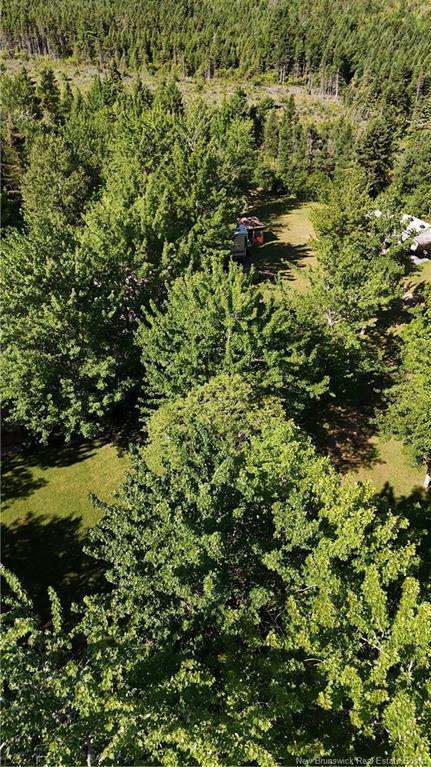 93 Poirier St, Grande-Digue, NB - Outdoor