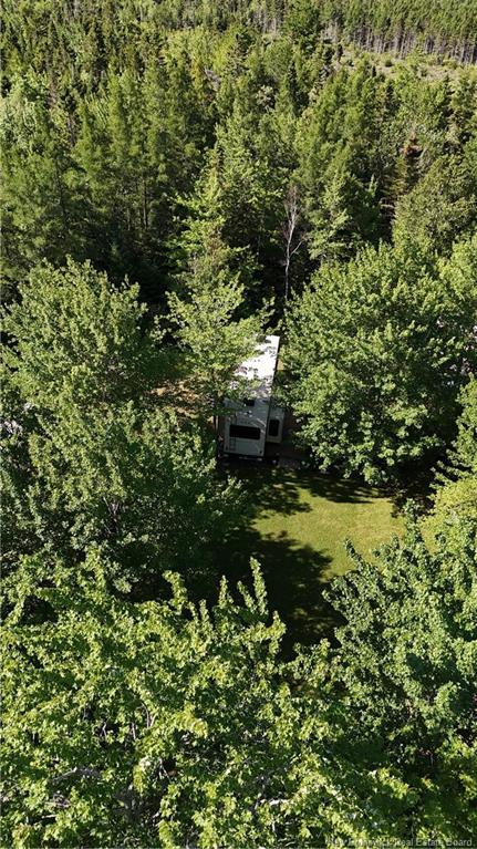 93 Poirier St, Grande-Digue, NB - Outdoor