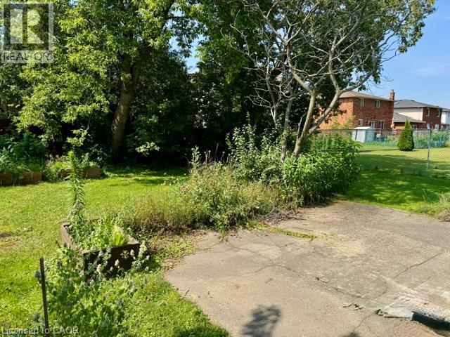 Expansive outdoor space featuring a concrete pad, mature trees, and raised garden beds - 342 Barton Street, Hamilton, ON - Outdoor