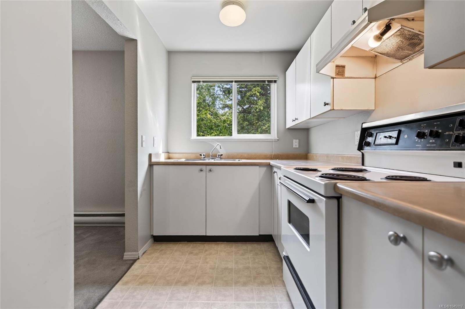 #301-200 Back Rd, Courtenay, BC - Indoor Photo Showing Kitchen