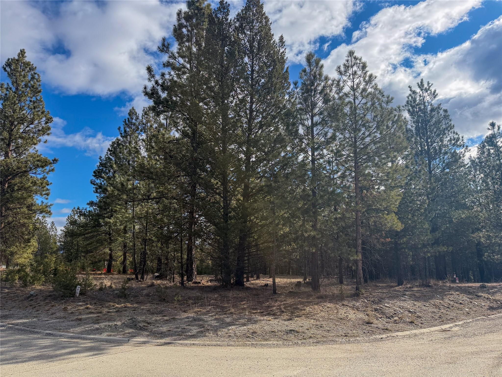 100 Shadow Mountain Boulevard, Cranbrook, BC - Outdoor With View