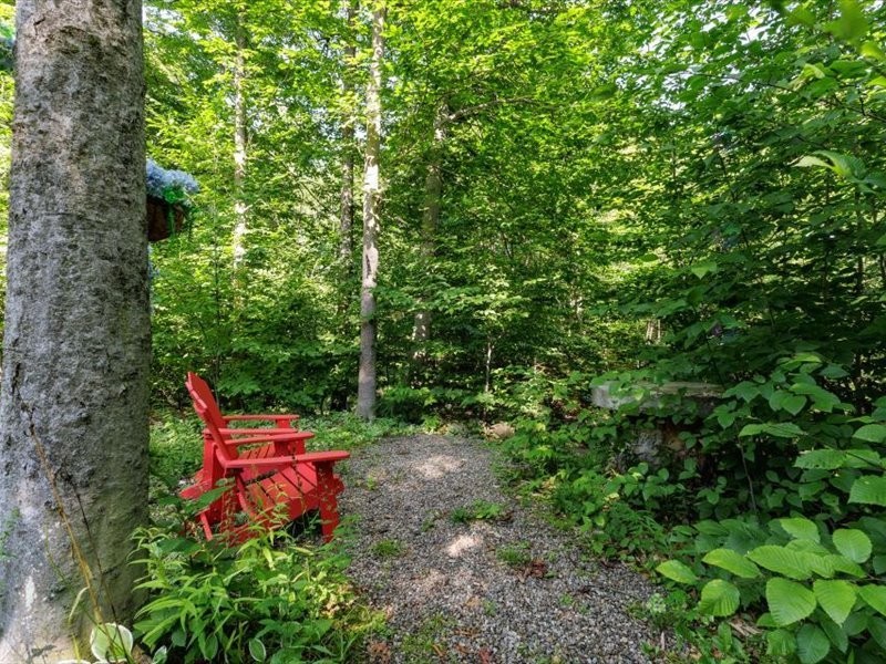 Cour - 100 Ch. De La Seigneurie, Rigaud, QC - Outdoor