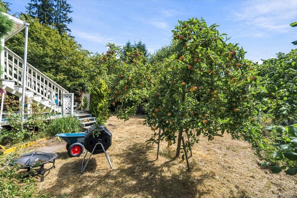 448 Lenhart Ave, Nanaimo, BC
