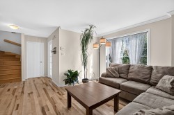 Living Room - 