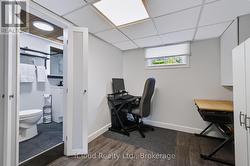 Lower Level Bedroom/Den - 