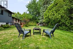 Backyard - 