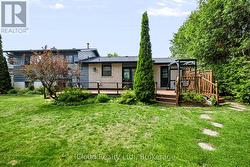 Backyard - 