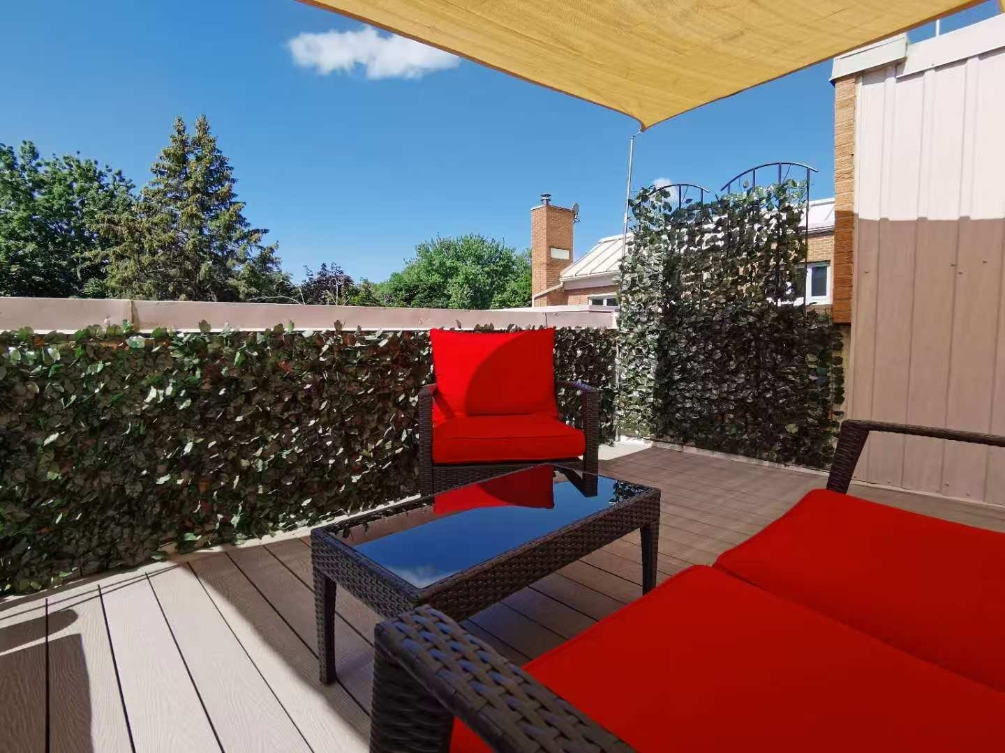 Patio - 3046 Le Boulevard, Montréal (Ville-Marie), QC - Outdoor
