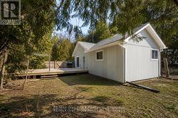 Side Yard - 