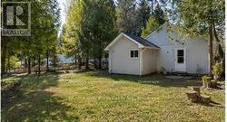 Backyard - 
