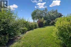 Expansive green lawn surrounded by mature trees and varied shrubbery -