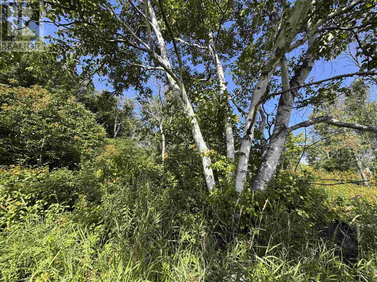 71 Lighthouse Point, Thessalon, ON