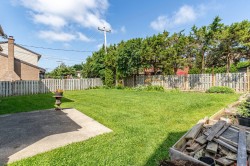 Lot - 