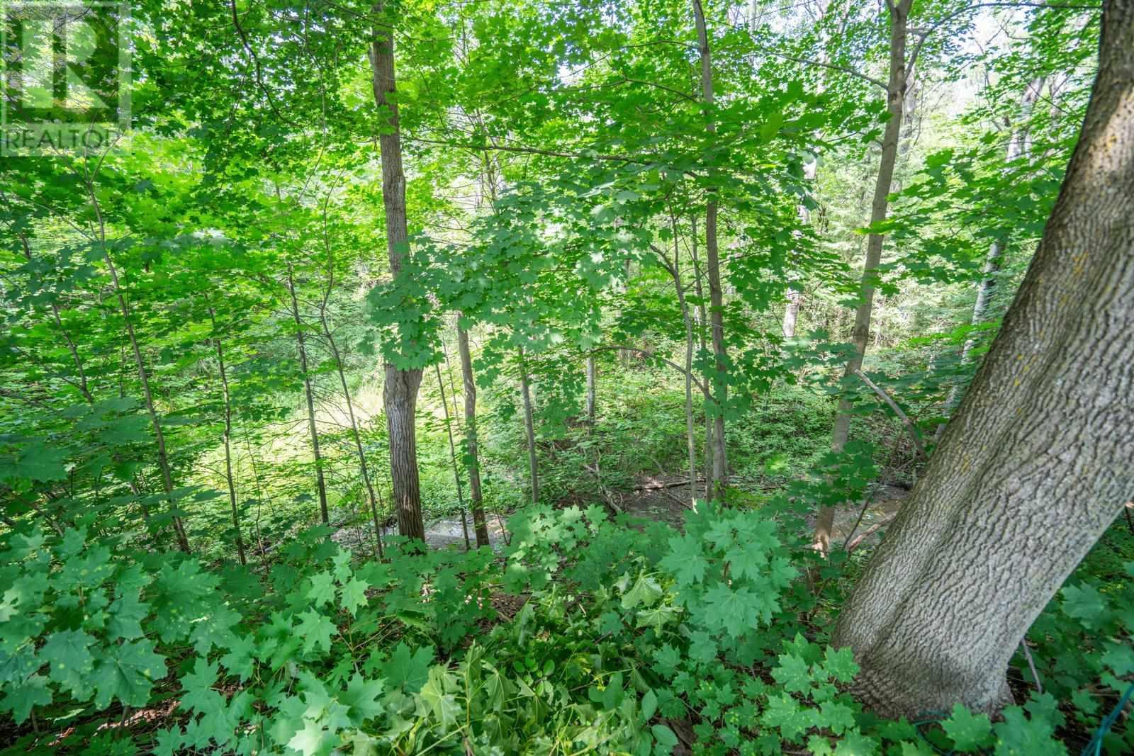 52 Stevens St, Sault Ste. Marie, ON - Outdoor