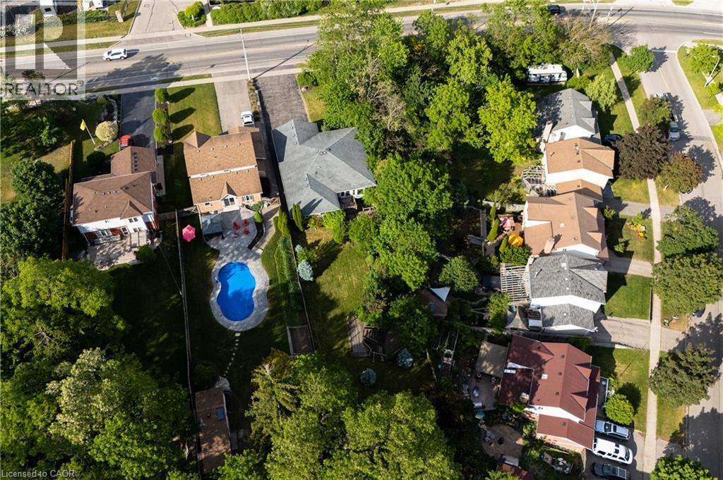 Landscaped backyard featuring a freeform swimming pool, extensive patio space, and mature perimeter trees - 907 Doon Village Road, Kitchener, ON - Outdoor With View