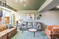 Living area featuring a green ceiling, light-colored walls, and carpeting - 