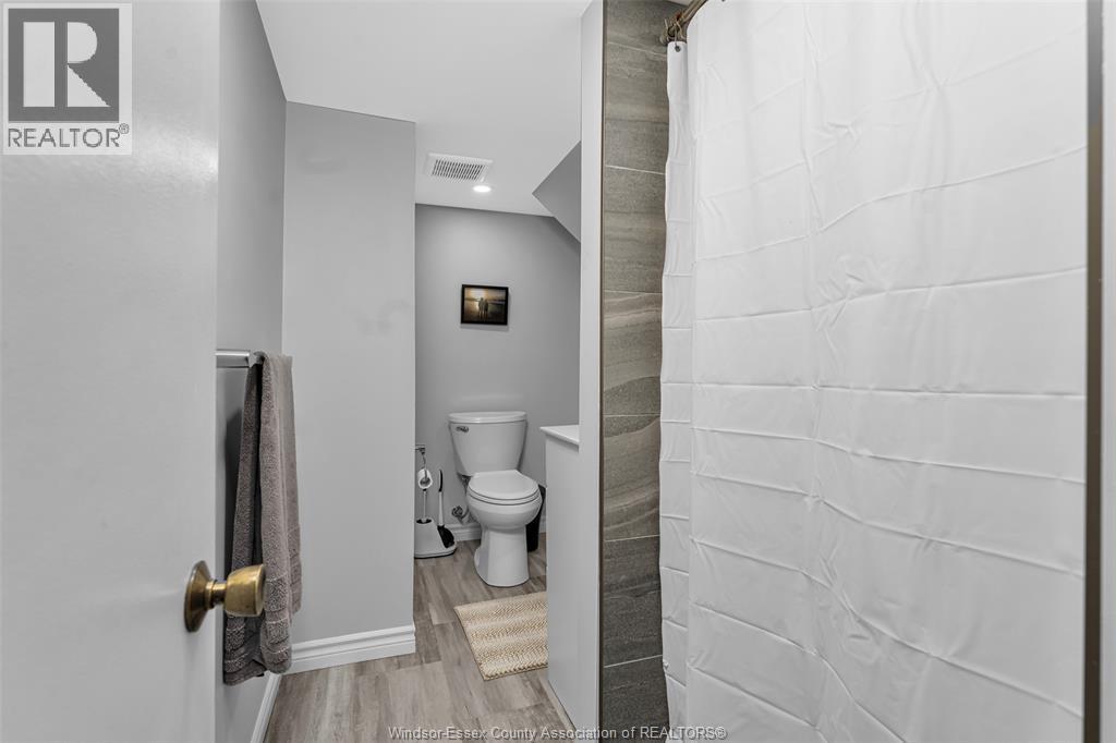 289 Ford Boulevard, Windsor, ON - Indoor Photo Showing Bathroom