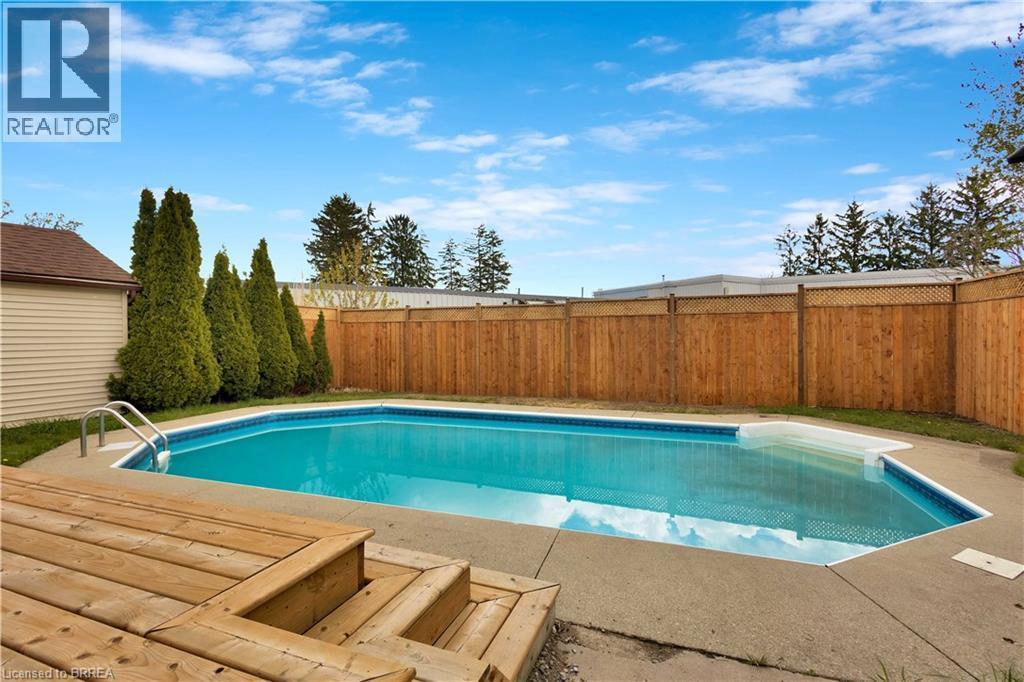 In-ground swimming pool featuring a concrete surround, wood-finish decking, and an adjacent utility shed - 371 Ottawa Street S, Kitchener, ON - Outdoor With In Ground Pool With Backyard