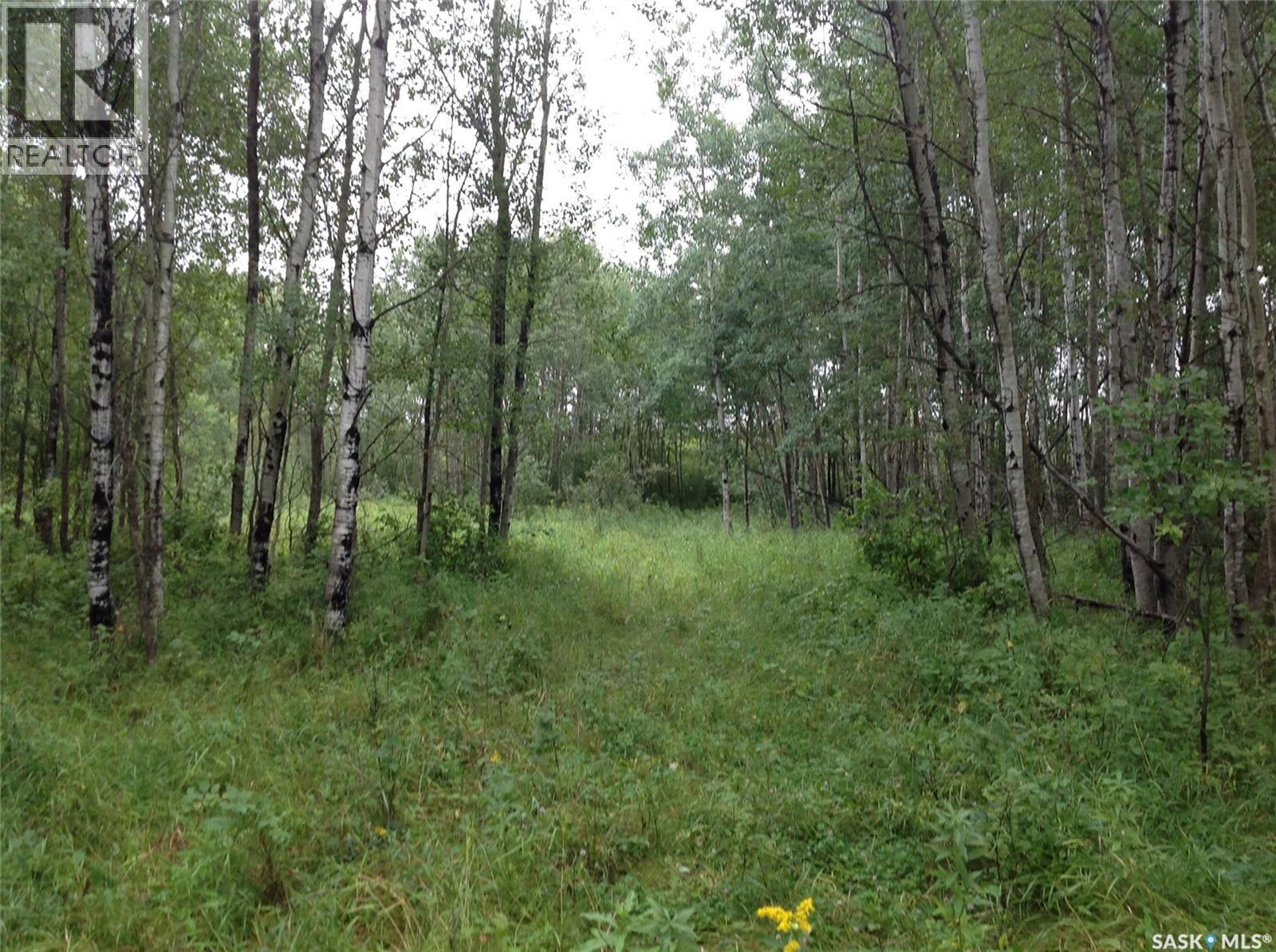 88 Acres Land, Hudson Bay, SK