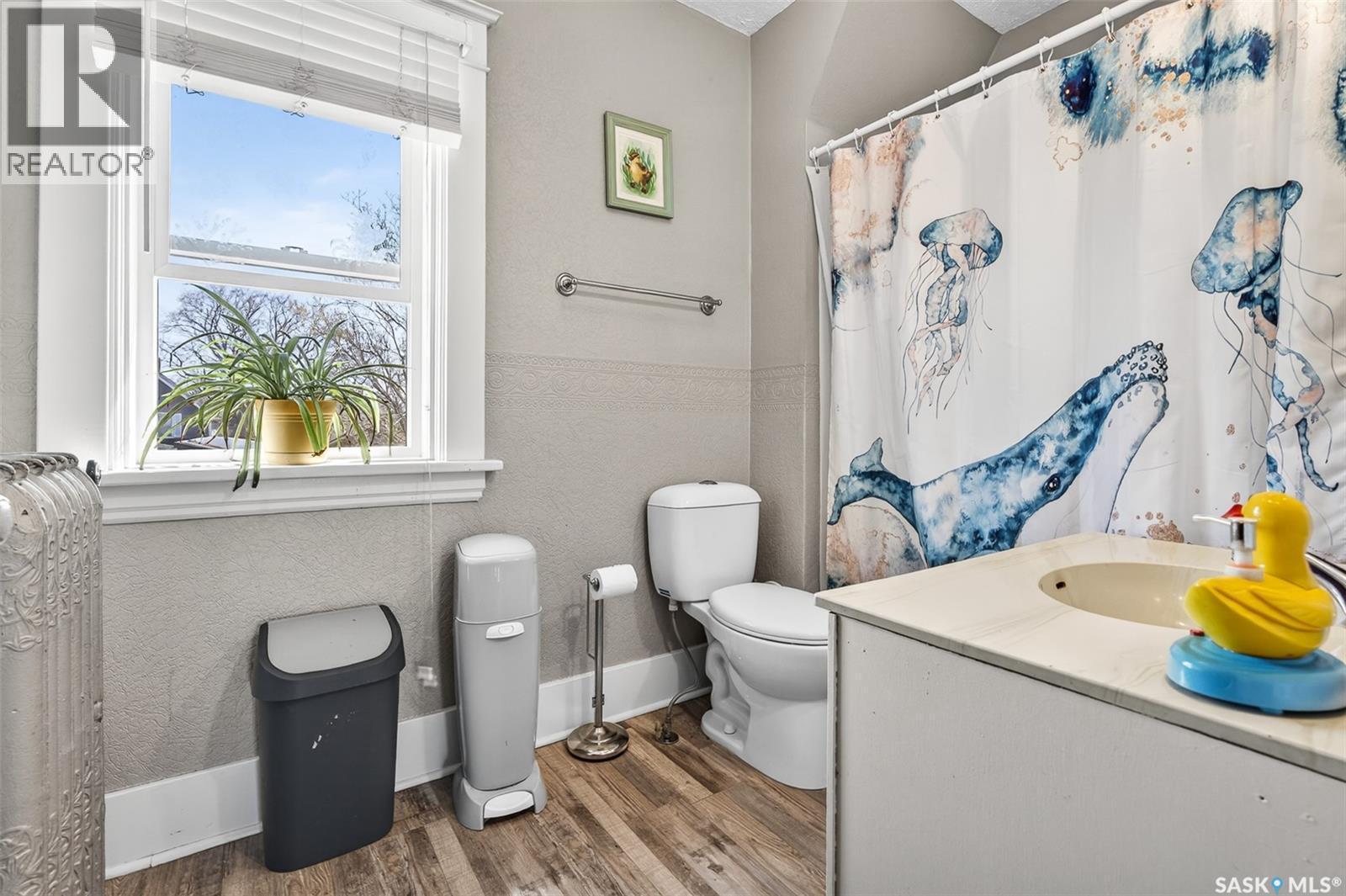 1037 Chestnut Avenue, Moose Jaw, SK - Indoor Photo Showing Bathroom