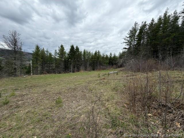 Lot Turkey Trail, Elgin, NB