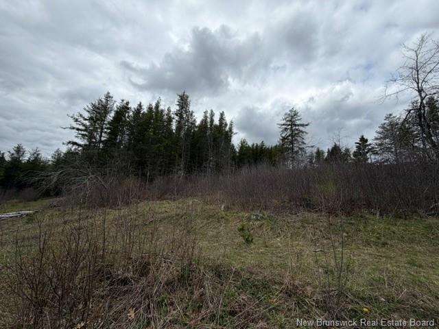 Lot Turkey Trail, Elgin, NB