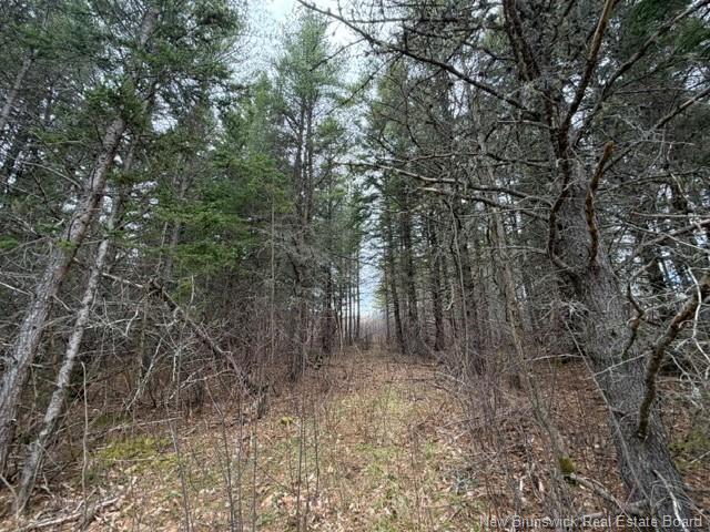Lot Turkey Trail, Elgin, NB