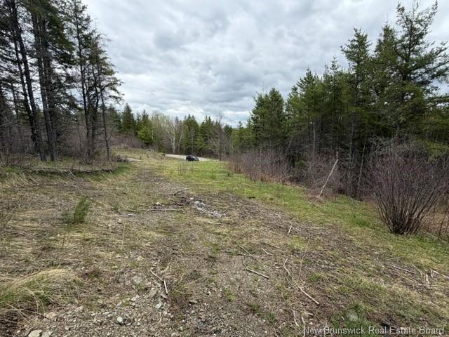 Lot Turkey Trail, Elgin, NB