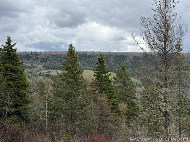 Lot Turkey Trail, Elgin, NB
