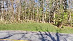 2731 SOUTHWOOD ROAD Gravenhurst, ON P0E 1G0