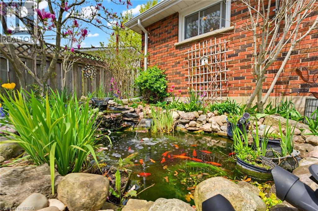 12 Mccammon Street, Paris, ON - Outdoor