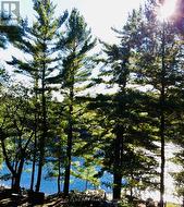 1112 SAM COOK ROAD Gravenhurst (Ryde), ON P1P 1R3