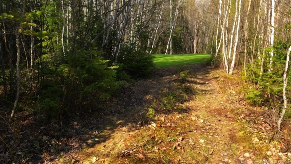 Lot Route 126, Harcourt, NB