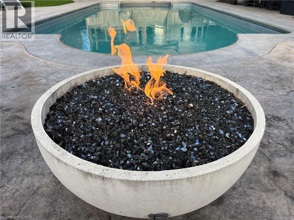 667 Burnett Avenue, Cambridge, ON - Outdoor With In Ground Pool