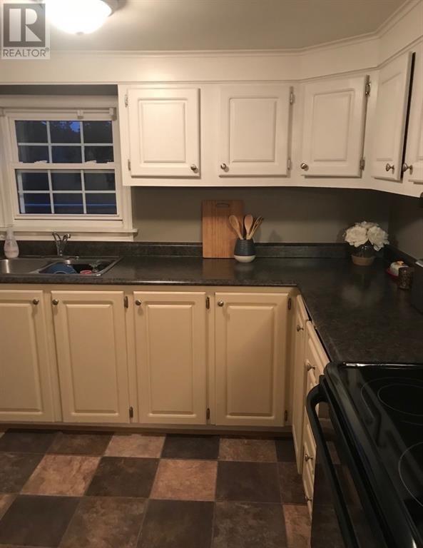 55 Conception Bay Highway, Conception Harbour, NL - Indoor Photo Showing Kitchen With Double Sink