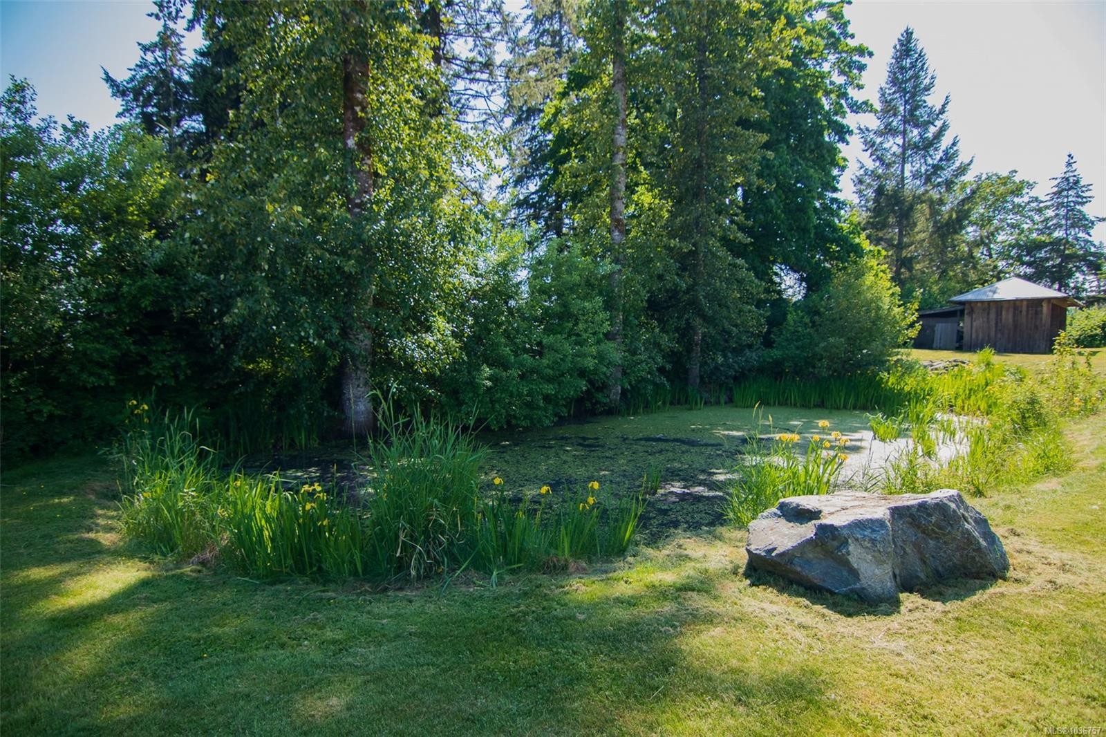 6742 Norcross Rd, Duncan, BC