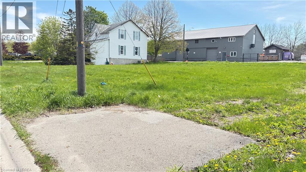 Expansive green lot featuring a paved section and visible utility pole - 6 Brydges Street, Paris, ON