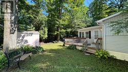 Side Deck and Yard - 