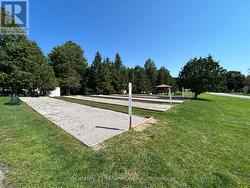 Botche Ball - 